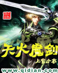 天火魔剑TXT全集封面