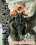第九骑士TXT全集封面