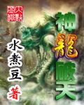 神龙破天TXT全集封面