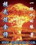核武炼金师TXT全集封面