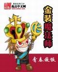 金装魔法师TXT全集封面