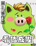 看猪成陛TXT全集封面