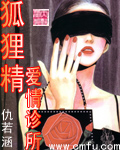 狐狸精爱情诊所TXT全集封面