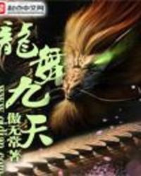 龙舞九天TXT全集封面
