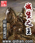 城堡之王TXT全集封面