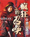 疯狂的召唤TXT全集封面