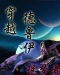穿越德鲁伊TXT全集封面