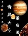奇异天空TXT全集封面
