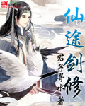 仙途剑修TXT全集封面