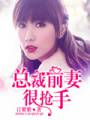 总裁前妻很抢手TXT全集封面