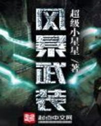 风暴武装TXT全集封面
