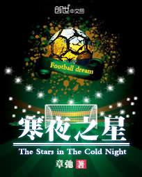 寒夜之星TXT全集封面
