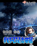 我只是数据TXT全集封面