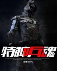 特种兵魂TXT全集封面