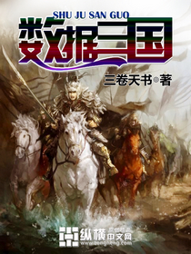 数据三国TXT全集封面