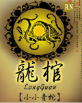 龙棺TXT全集封面
