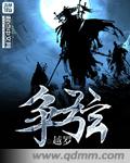 争弦TXT全集封面