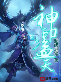 神印盗天TXT全集封面