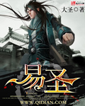 易圣TXT全集封面