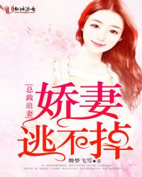 总裁追妻:娇妻逃不掉TXT全集封面