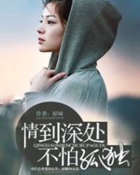 情到深处不怕孤独TXT全集封面