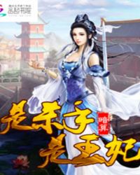 是杀手是王妃TXT全集封面