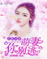 总裁追妻,萌妻你别逃TXT全集封面