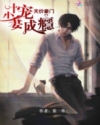 天价豪门:叶少宠妻成瘾TXT全集封面