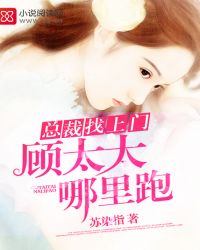 总裁找上门:顾太太,哪里跑!TXT全集封面