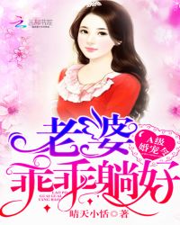 A级婚宠令:老婆,乖乖躺好!TXT全集封面