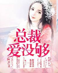 总裁爱够没TXT全集封面
