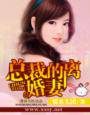 总裁的离婚妻TXT全集封面