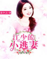 江少的小逃妻TXT全集封面
