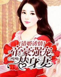 错婚诱情:帝豪强宠替身妻TXT全集封面