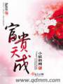 富贵天成TXT全集封面
