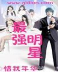 最强明星TXT全集封面