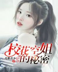 校花空姐的秘密TXT全集封面