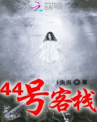 44号客栈TXT全集封面