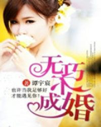 无巧不成婚TXT全集封面