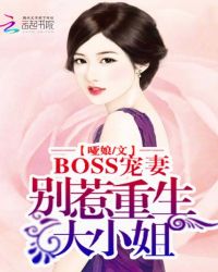 BOSS宠妻:别惹重生大小姐TXT全集封面