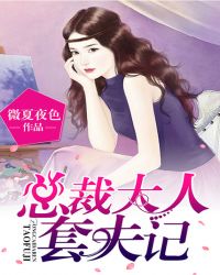 总裁大人套夫记TXT全集封面