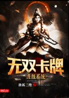 无双卡牌升级系统TXT全集封面