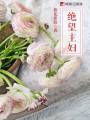绝望主妇TXT全集封面