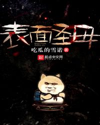 表面圣母TXT全集封面