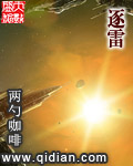 逐雷TXT全集封面