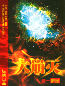 大崩灭TXT全集封面