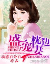 盛宠枕边妻TXT全集封面