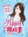替爱成婚:男神的隐婚妻TXT全集封面