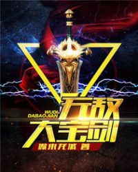 无敌大宝剑TXT全集封面