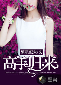 高手归来TXT全集封面